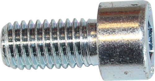 Bild von Zylinderschraube M10 x 20