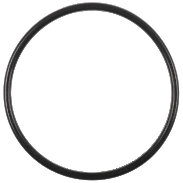 Bild von O-Ring Ø57 x 3 Anschlussflansch