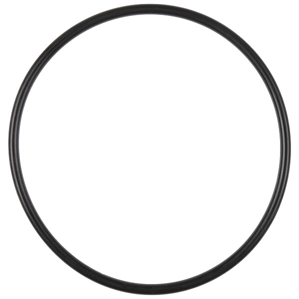 Bild von O-Ring 61,6 x 2.6 NBR DIN-EN549 Zündgasplatte