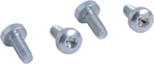 Flansch Schrauben (4 Stück)